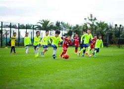 阿森纳教练,确诊新冠,球员米切尔,球友会,球友会官方,球友会登录,球友会入口,球友会登录