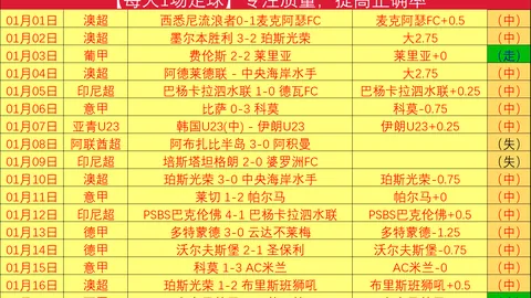 手机使用手册